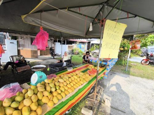 432142984 7261869557181702 2036348298802102979 n